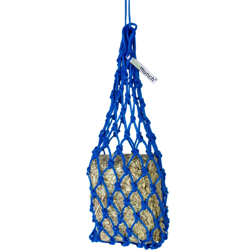 Equilibrium Munch Net - Blue