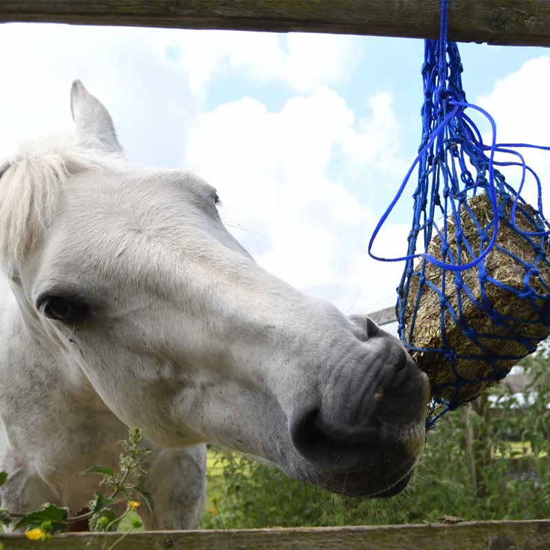 Equilibrium Munch Net - Blue-2