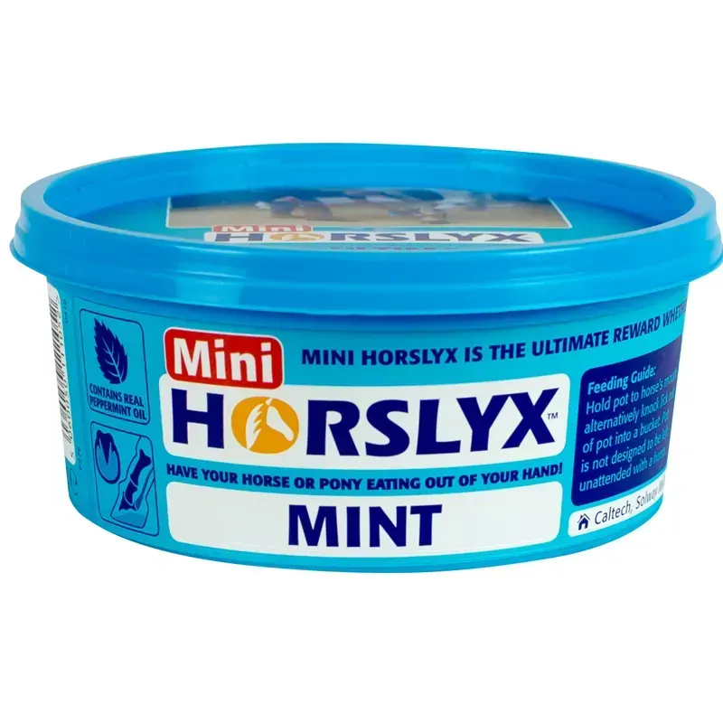 Horslyx Mini Licks Mint 650g - Mint