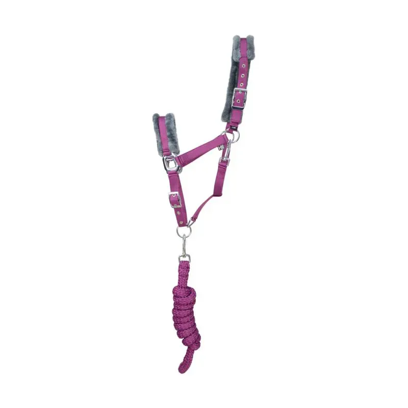Hy Equestrian Sport Active Head Collar and Lead Rope - Amethyst Purple