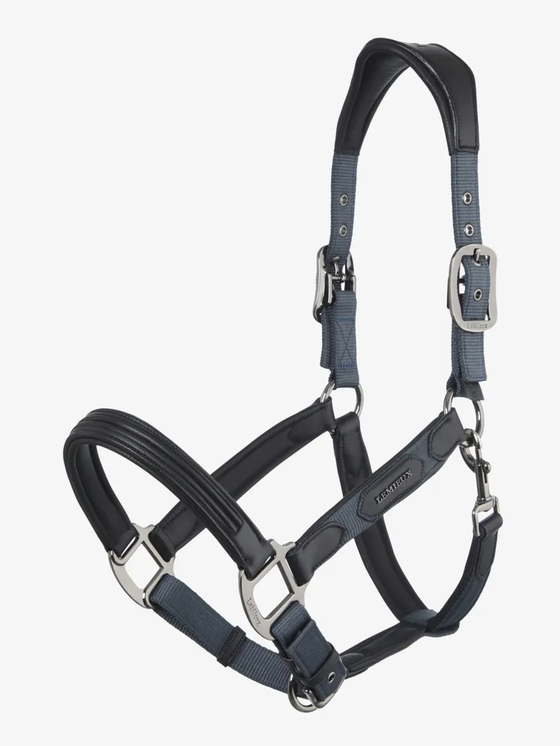 LeMieux Capella Headcollar - Cob - Petrol