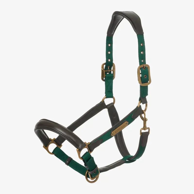 LeMieux Capella Headcollar - Cob - Spruce-1