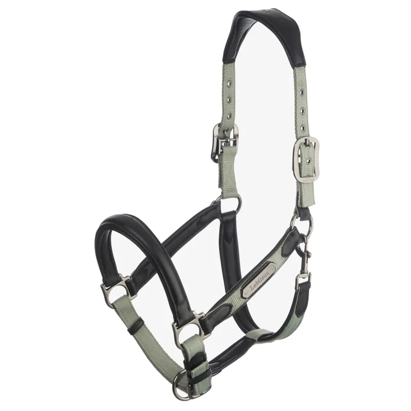 LeMieux Capella Headcollar - Cob - Thyme