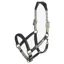 LeMieux Capella Headcollar - Cob - Thyme
