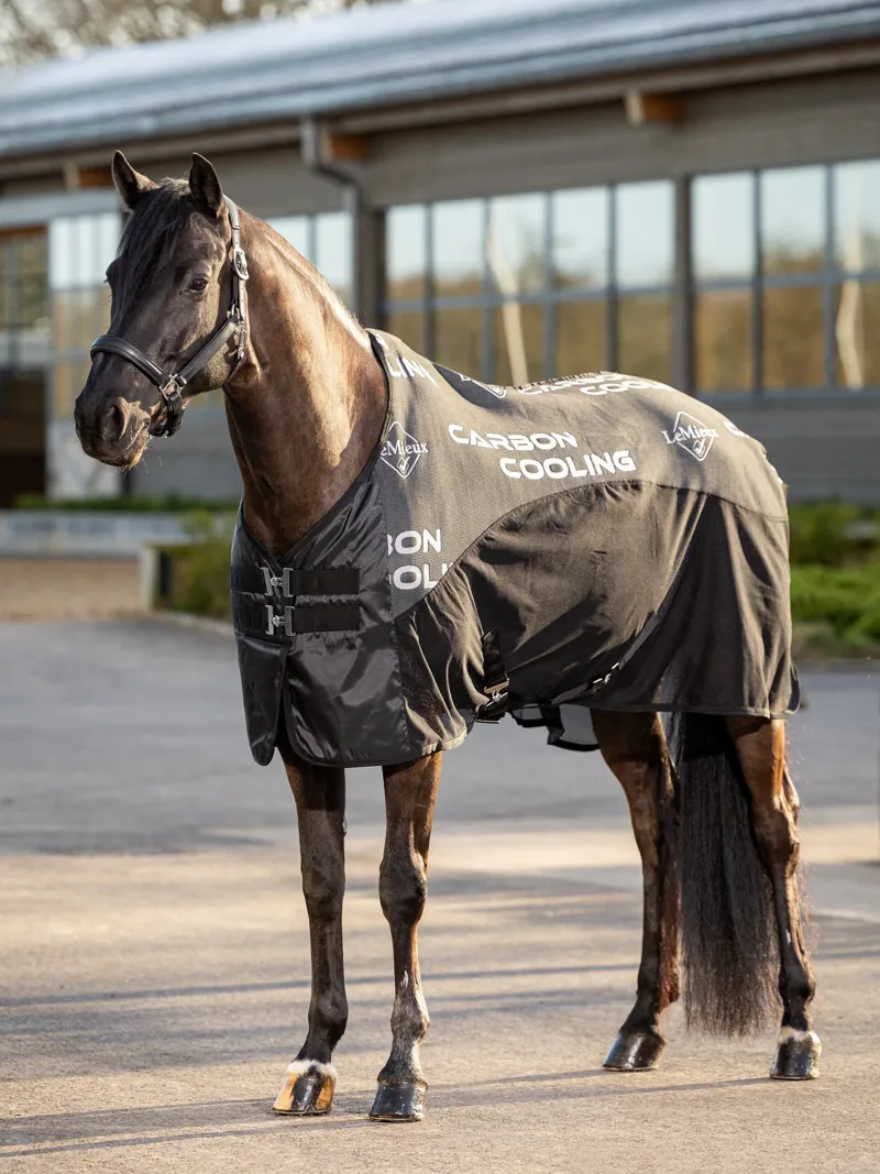 LeMieux Carbon Cooler Rug - Black-1
