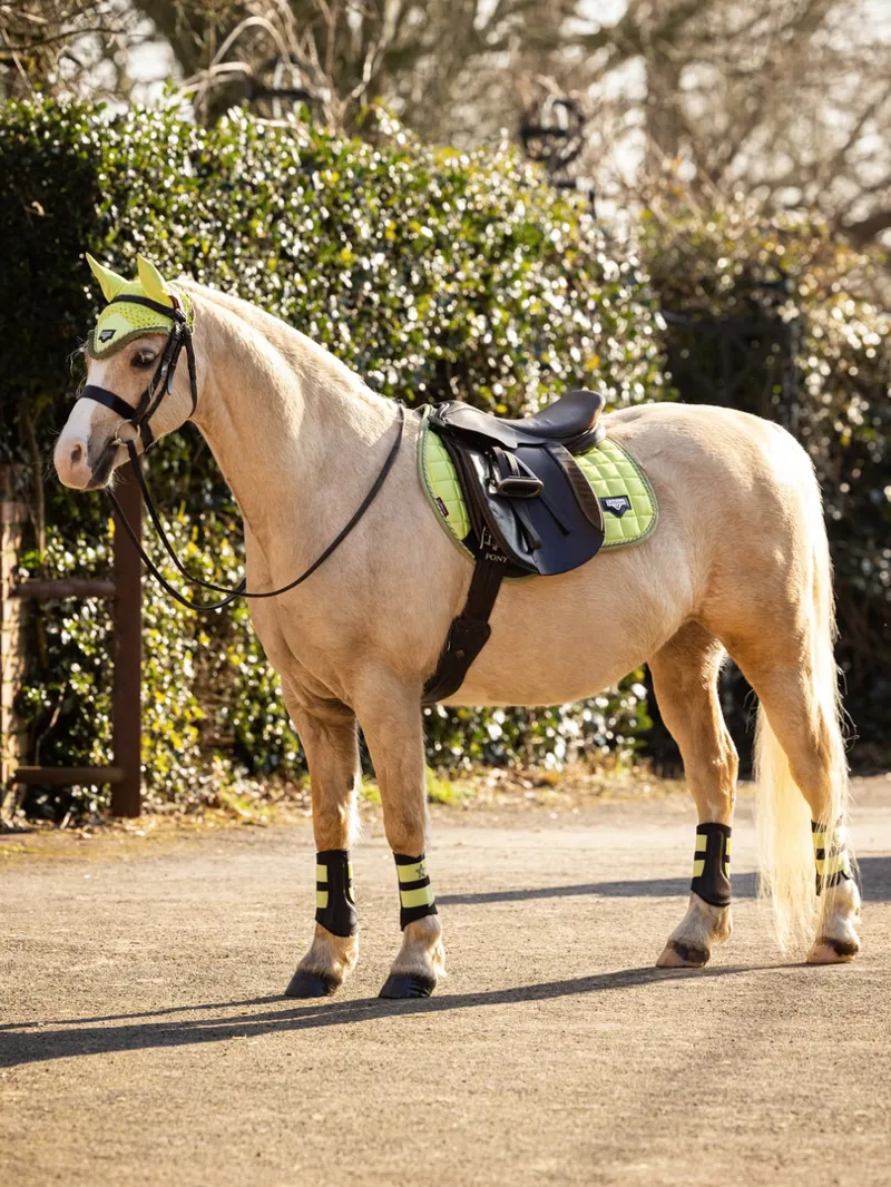 Lemieux Junior Loire Fly Hood - Kiwi-1