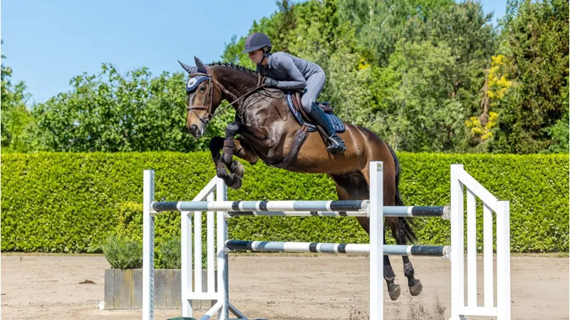 LeMieux Loire Classic Close Contact Square - S/M - Twilight Grey-1