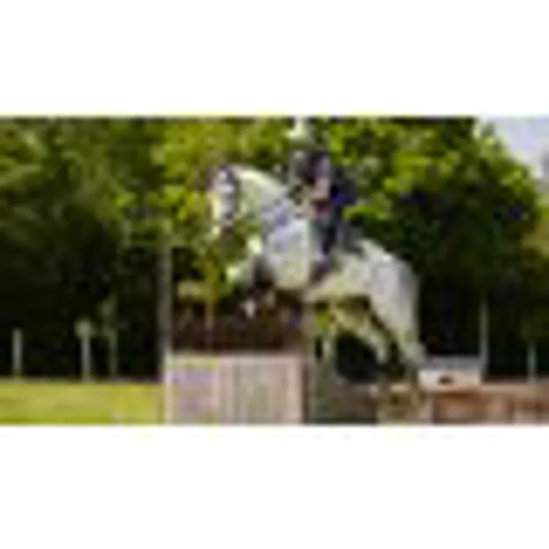 Lemieux Loire Classic GP Square - S/M - Jay Blue-1