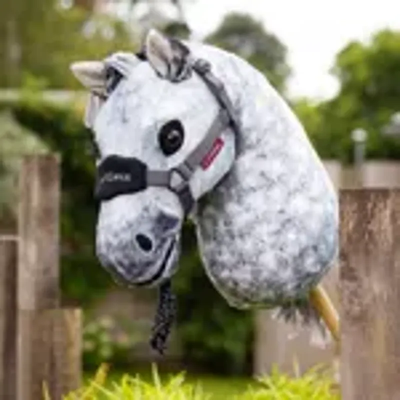 LeMieux Sammy Hobby Horse-2