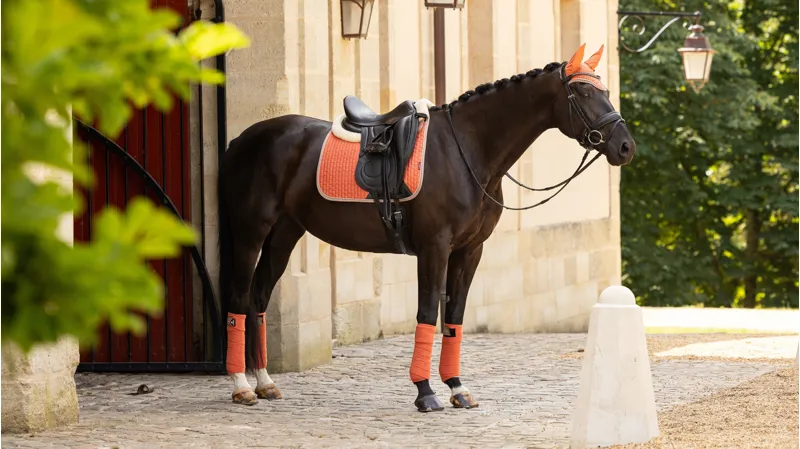 LeMieux Suede Dressage Square - Apricot - L-1