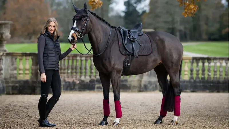 LeMieux Suede Dressage Square - Cinder - L-1