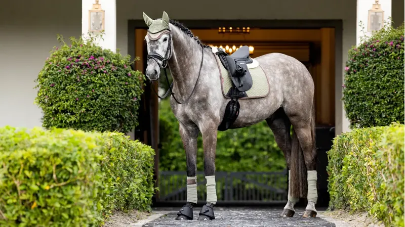 LeMieux Suede Dressage Square - Fern - S/M