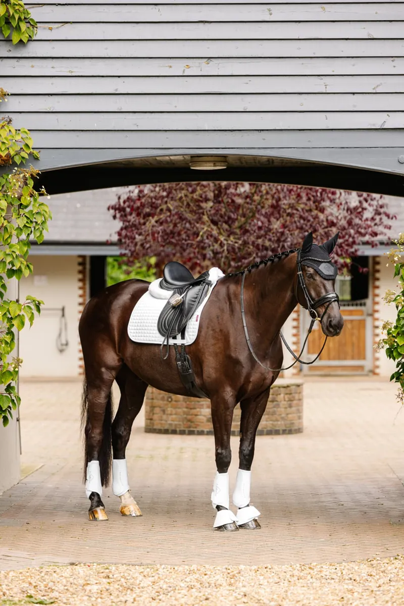 LeMieux Suede Dressage Square - White - S/M-1