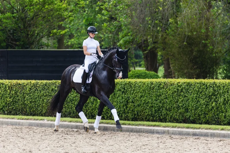LeMieux Suede Dressage Square - White - S/M-2