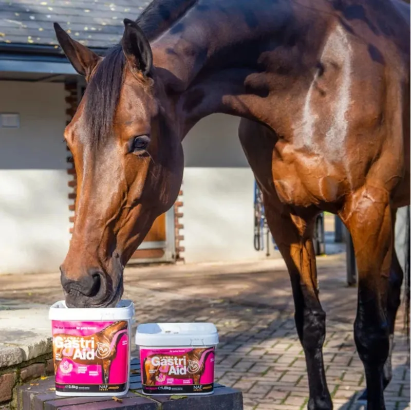 NAF Gastriaid - 1.8kg -2
