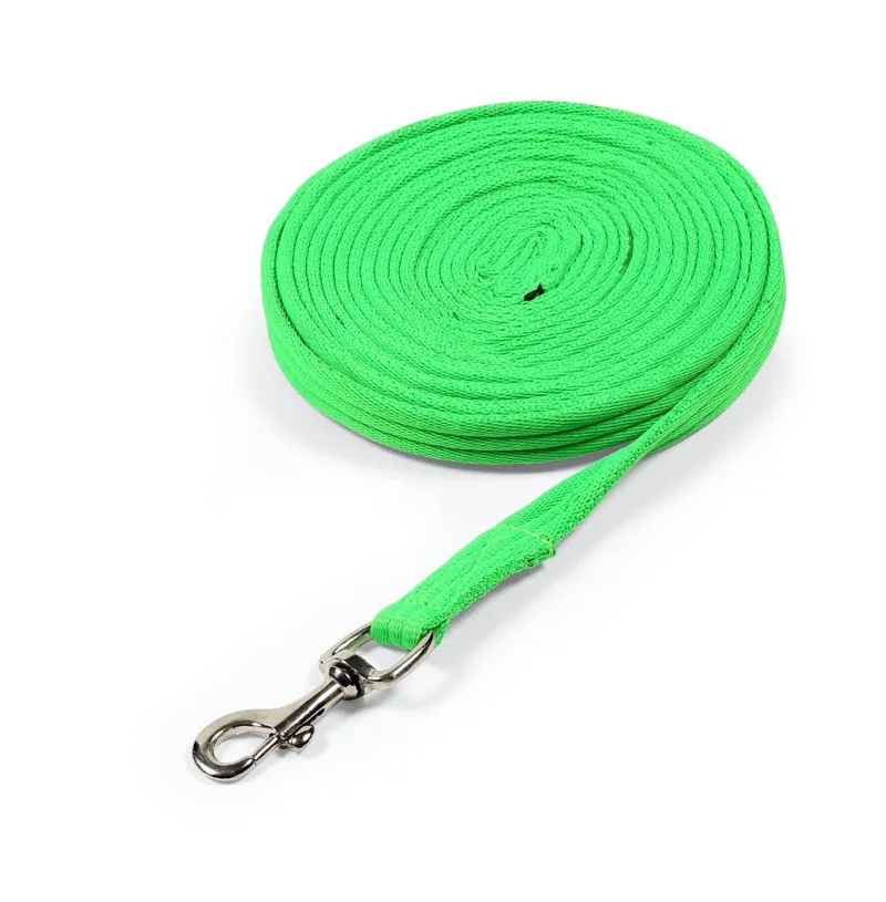Shires Arma Cushion Web Lunge Line - Green