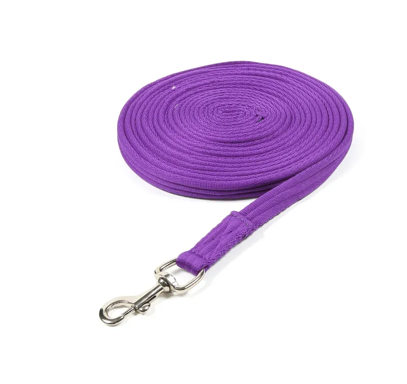 Shires Arma Cushion Web Lunge Line - Purple