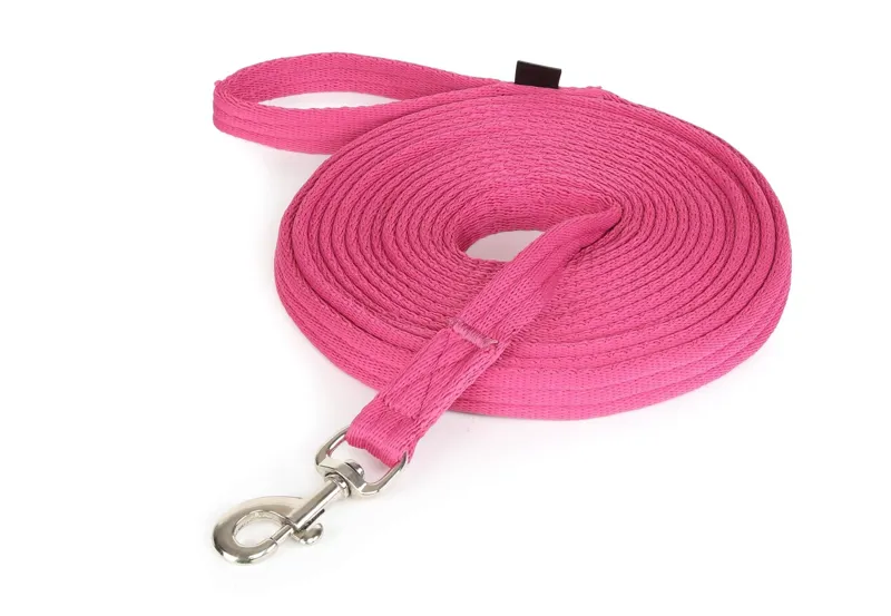 Shires Arma Cushion Web Lunge Line - Raspberry