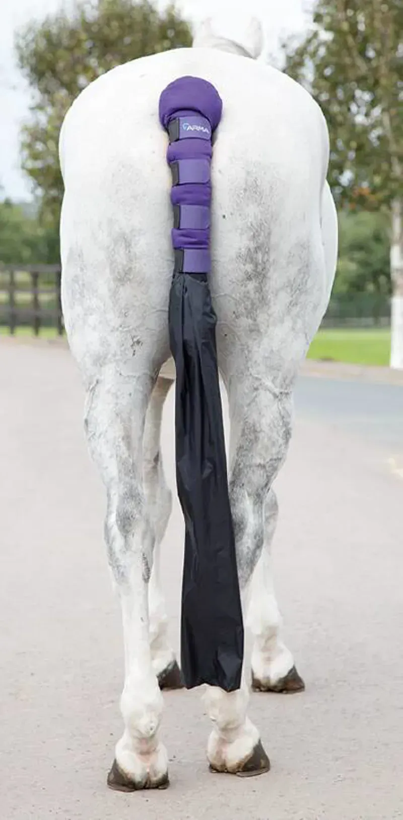 Shires Arma Padded Tail Guard With Bag - Purple