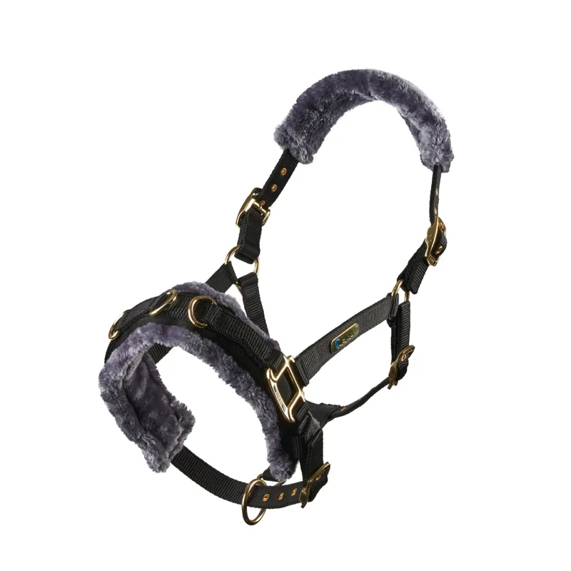 Shires Fleece Lined Lunge Cavesson - Black-1