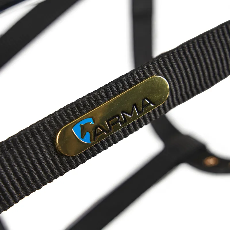 Shires Fleece Lined Lunge Cavesson - Black-5