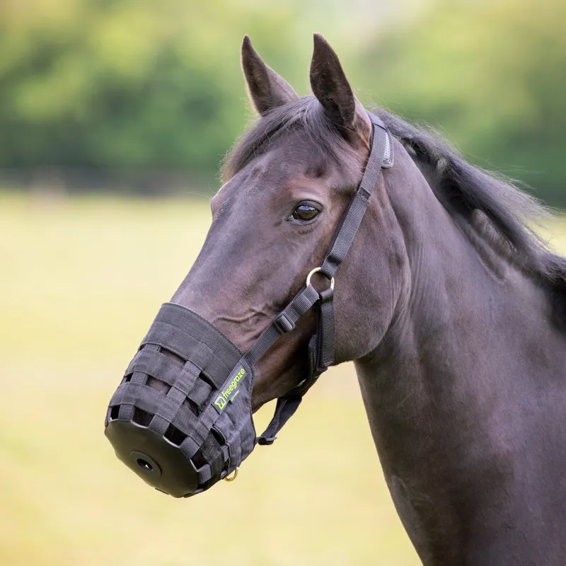 Shires FreeGraze Comfort Grazing Muzzle - Black-7