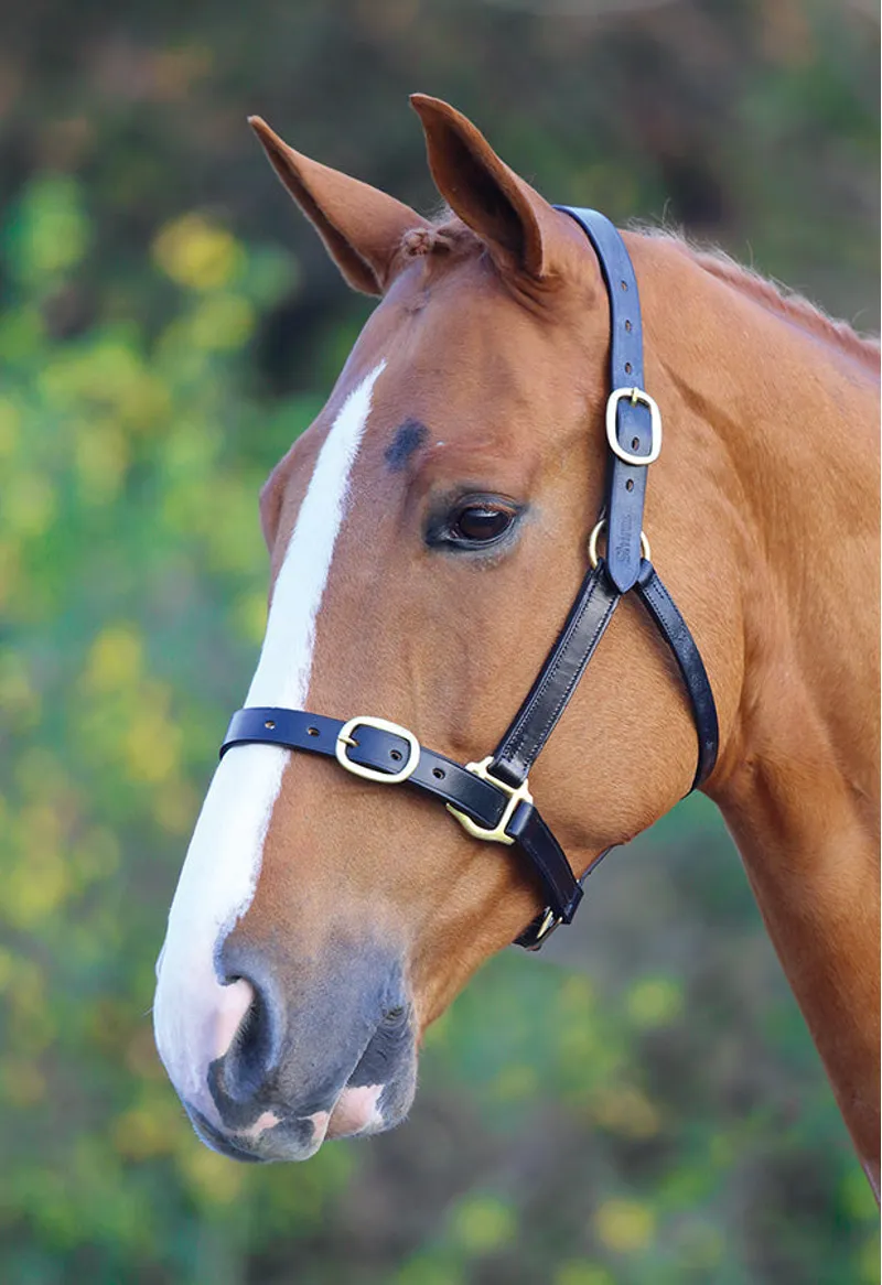 Shires Velociti GARA Fully Adjustable Leather Headcollar Cob - Black