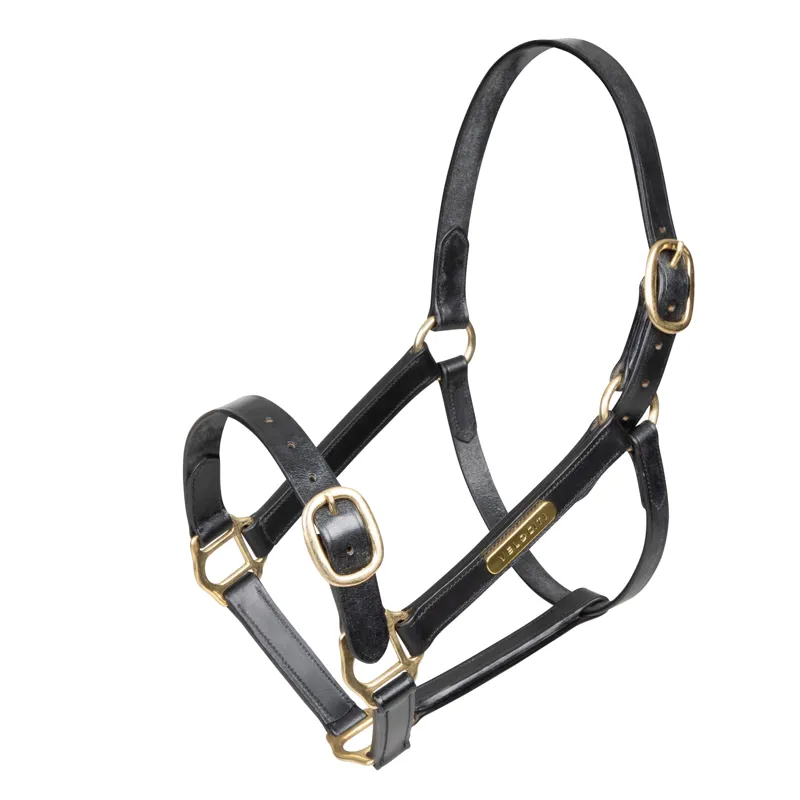 Shires Velociti GARA Fully Adjustable Leather Headcollar Cob - Black-1