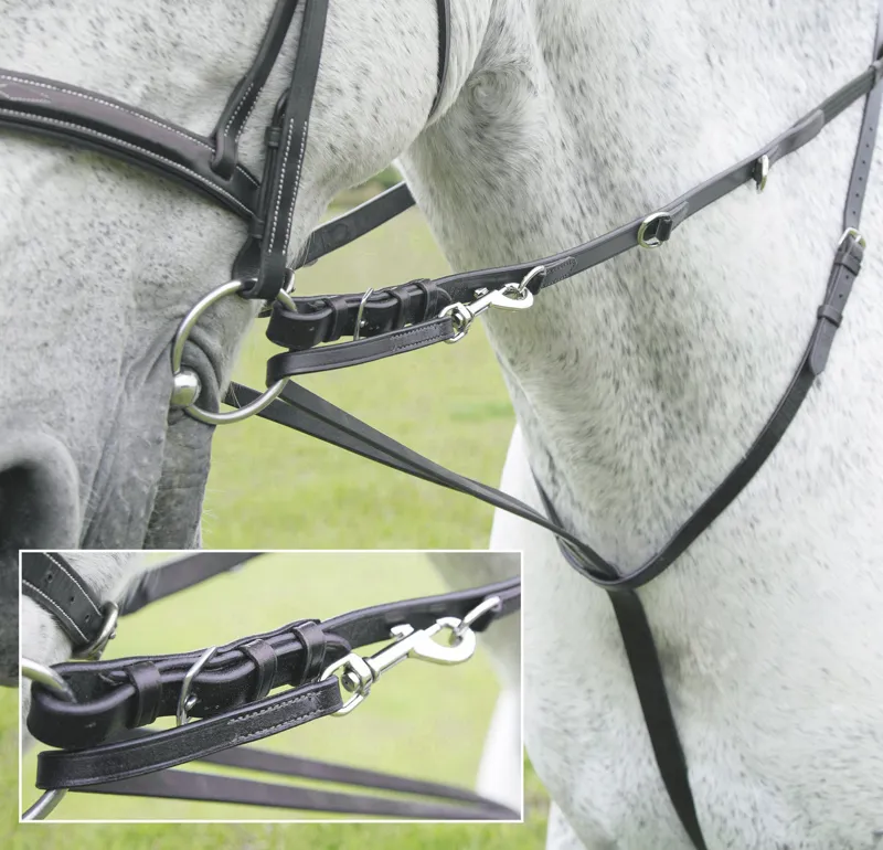 Shires Velociti GARA Market Harborough - Black