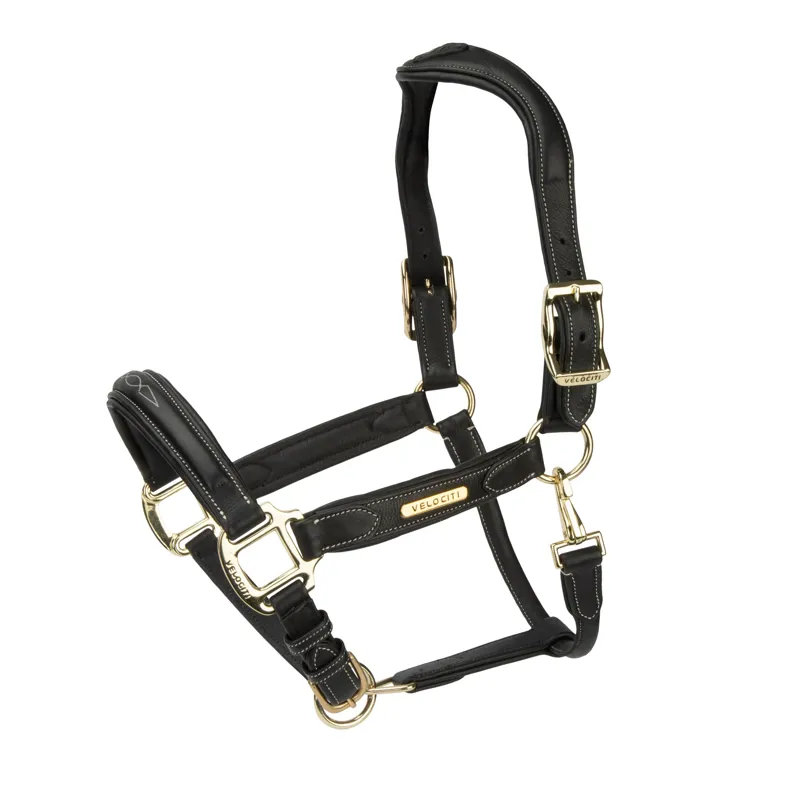 Shires Velociti Rapida Comfort Leather Headcollar - Black