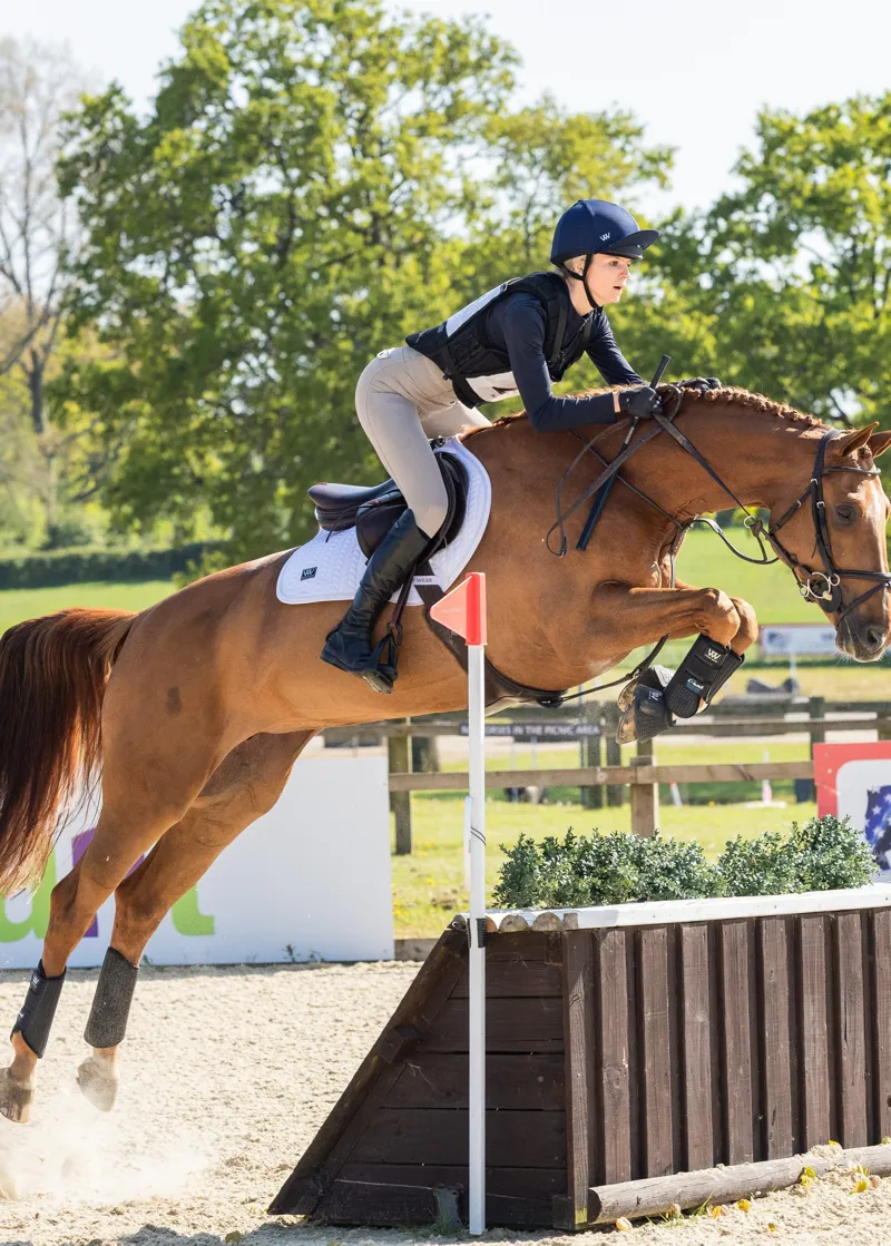 Woof Wear Smart Event Boot Hind - Black-3