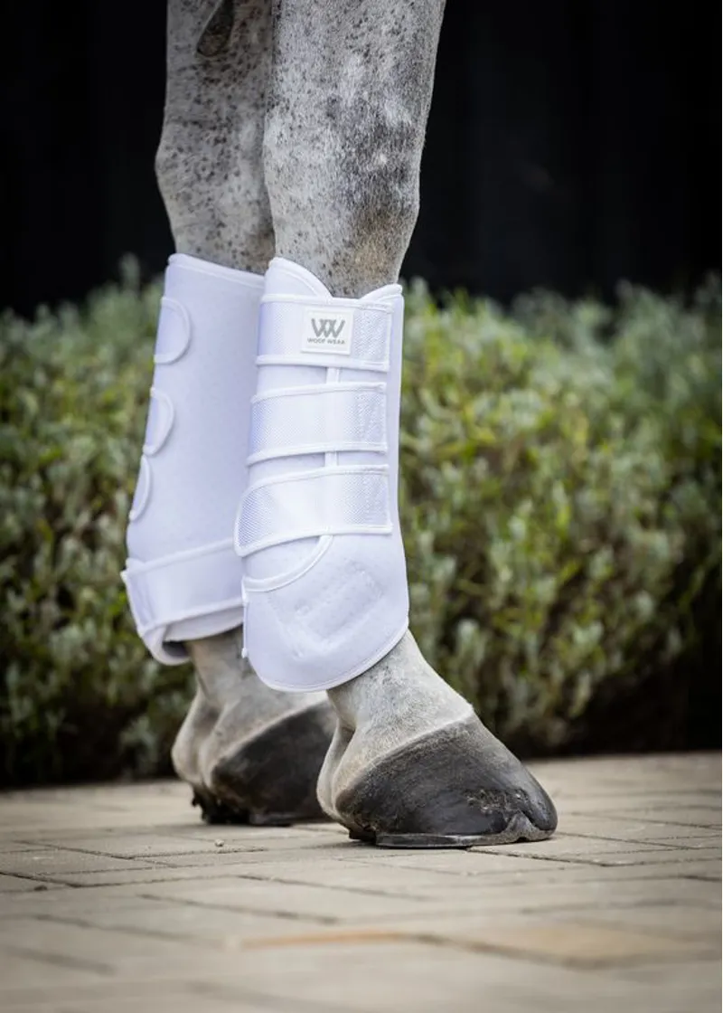 Woof Wear Training Wrap - White-1