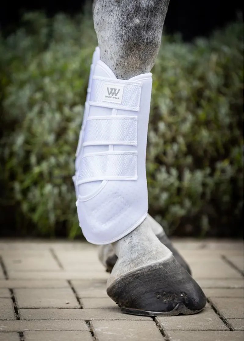 Woof Wear Training Wrap - White-2
