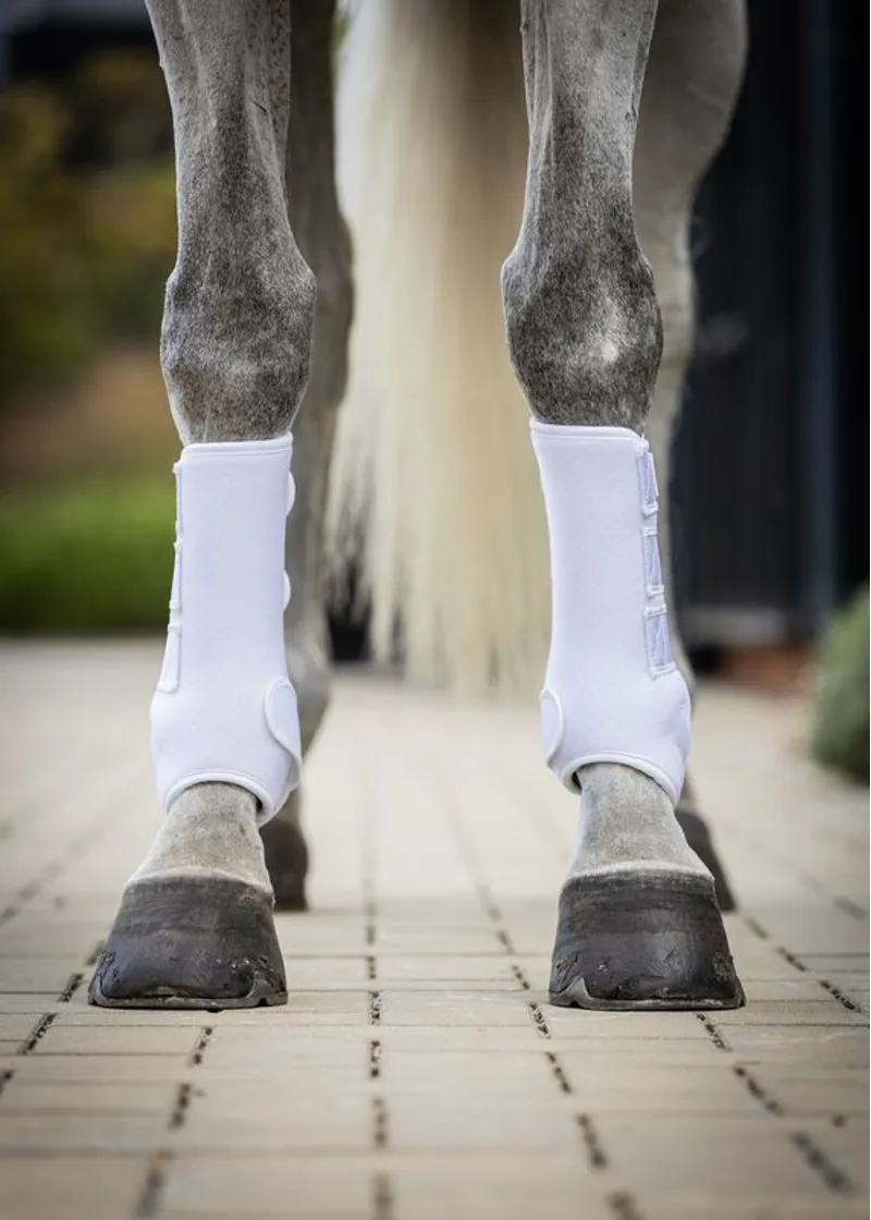 Woof Wear Training Wrap - White-3